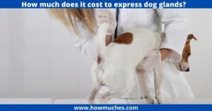 How much does it cost to express dog glands